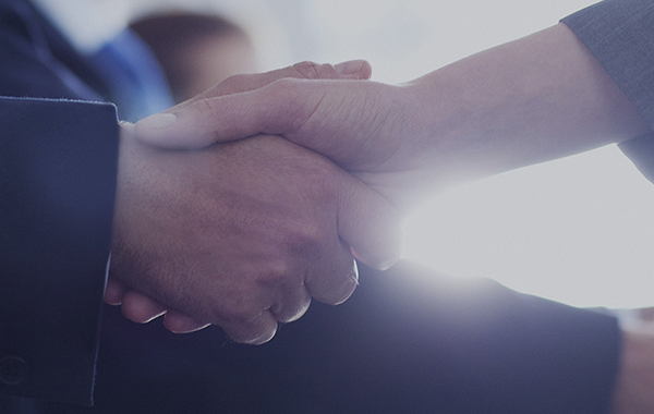 Jiangsu Biaodu Artificial Lawn Co., Ltd