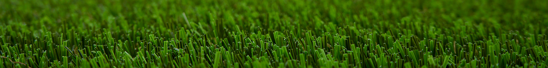 Jiangsu Biaodu Artificial Lawn Co., Ltd