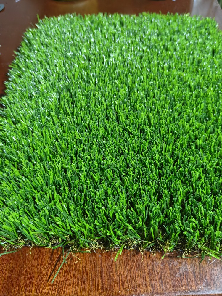 Leisure landscape grass