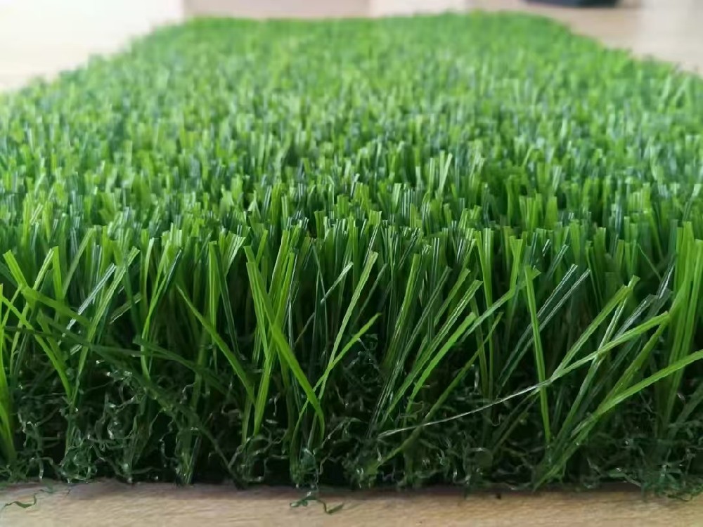 Leisure landscape grass