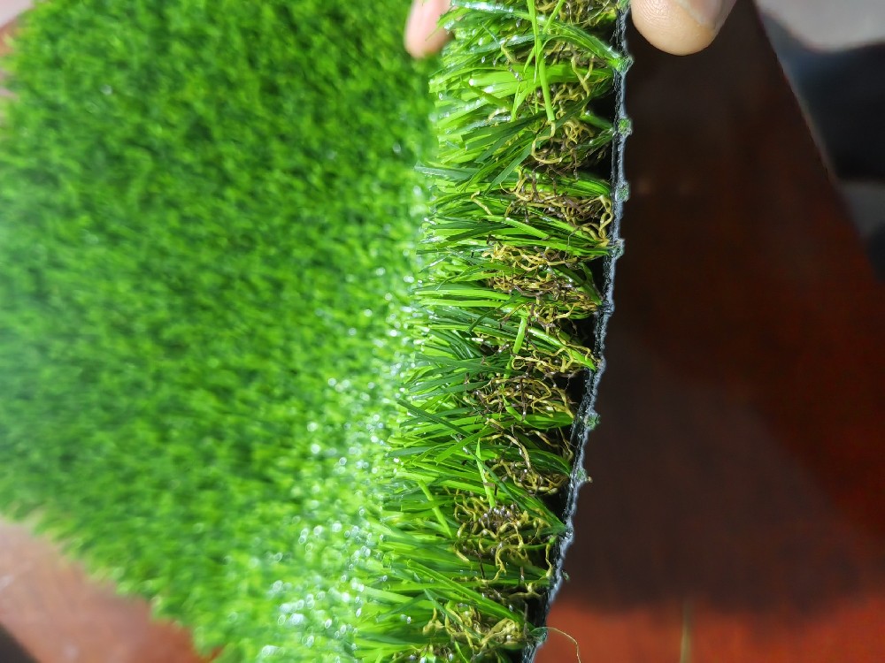 Leisure landscape grass