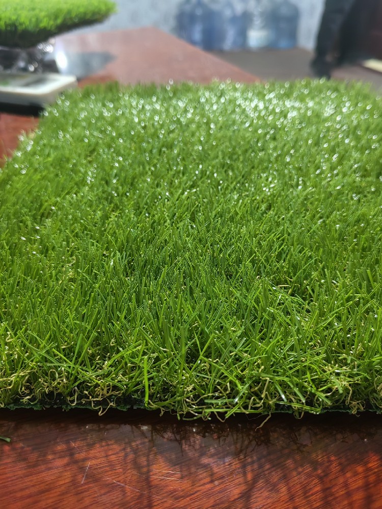 Leisure landscape grass