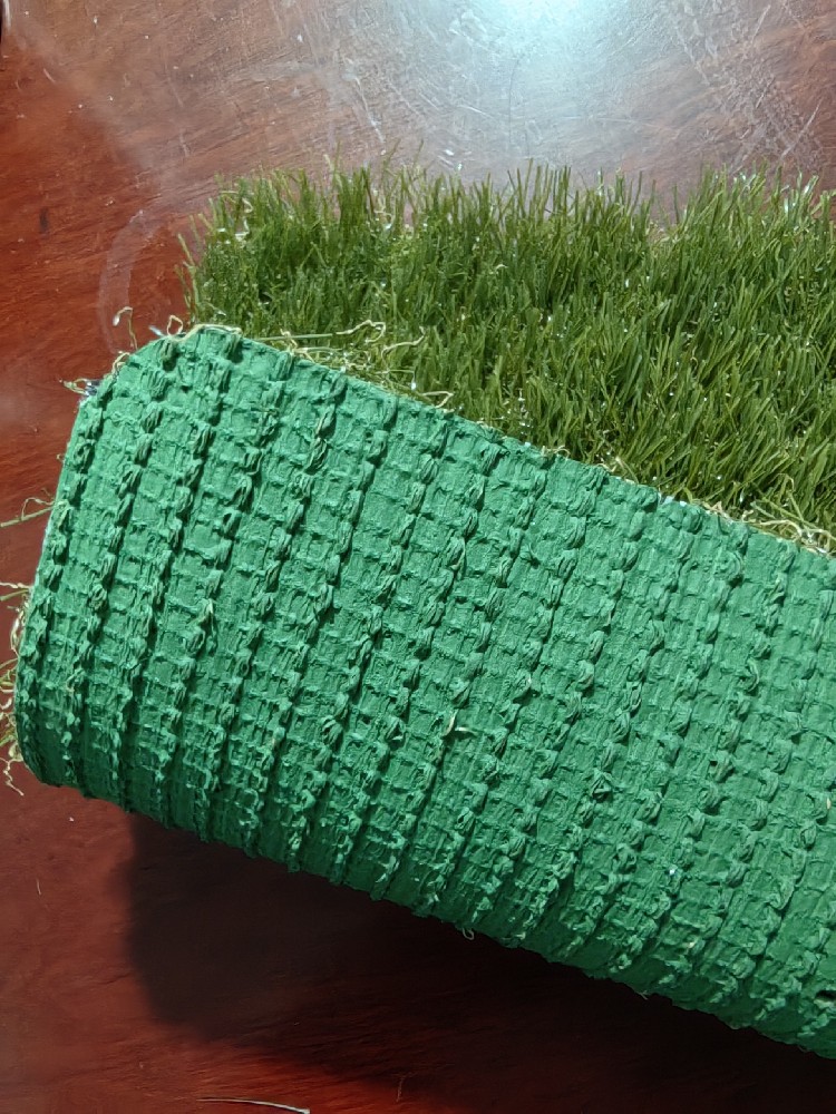 Leisure landscape grass