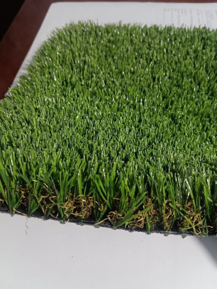 Leisure landscape grass